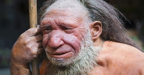 Evolution Bombshell As Missing Human Link Discovered In 30000 Year Old Remains Find Daily Star