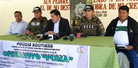 Abi Fuerza Antidroga Secuestra Libras De Hoja De Coca Peruana