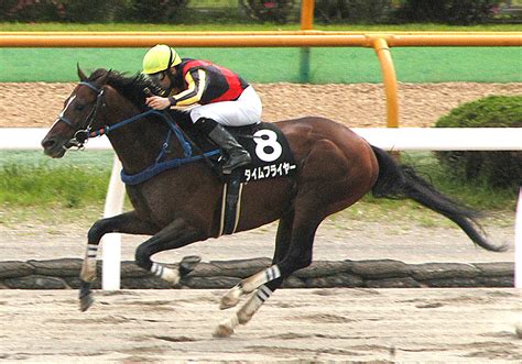 【函館11r・マリーンs】タイムフライヤーが2年半ぶり勝利ルメールは年間100勝 スポーツ報知