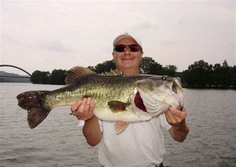 Lake Austin Fishing Guides - Fishmasters.com