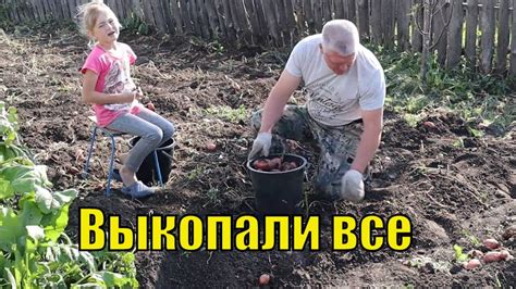 Крутые огородники копают картошку Деревенская жизнь - YouTube