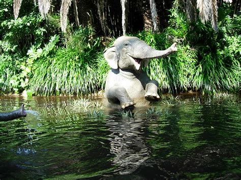 Jungle Cruise Elephant Water Party A Photo On Flickriver