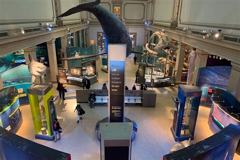 Smithsonian National Museum Of Natural History 2h Guided Tour La Vacanza Travel