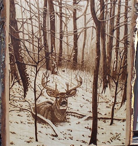 Sunrise Whitetail Deer 9 By 12 Inches Wood Burning Art Wood Burning