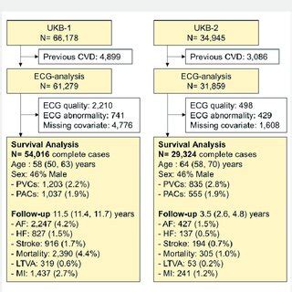 Flow Diagram Of The Study Af Atrial Fibrillation Cvd Cardiovascular