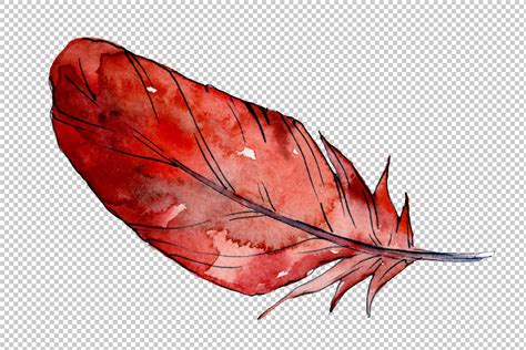 Magic Feather Dream Watercolor Png By Mystocks Thehungryjpeg