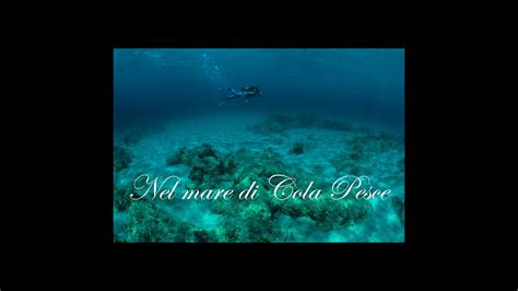 Nel Mare Di Cola Pesce Youtube