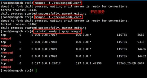 Mongodb搭建及基础操作mongodb风雪一更ing 华为云开发者联盟