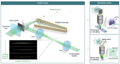 High-speed Laser-scanning Biological Microscopy using FACED – Applied ...