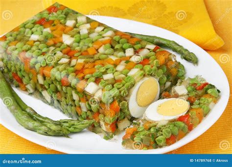 Vegetable Aspic Stock Photo Image Of Eating Food Cold 14789768