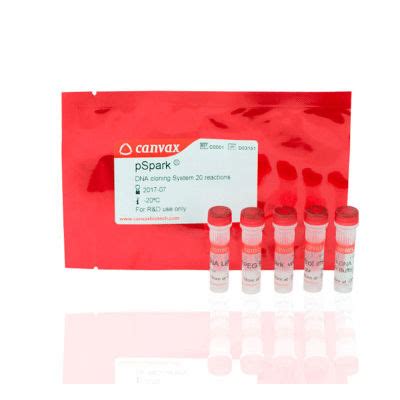 Kit De Reactivos ADN Ligasa PSpark II Canvax Para PCR De