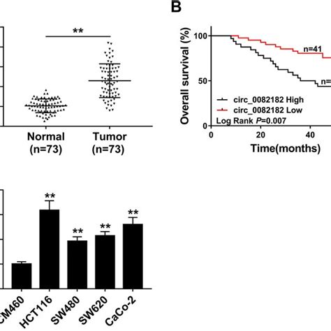 Circ0082182 Was Upregulated In Crc And Associated With A Poor