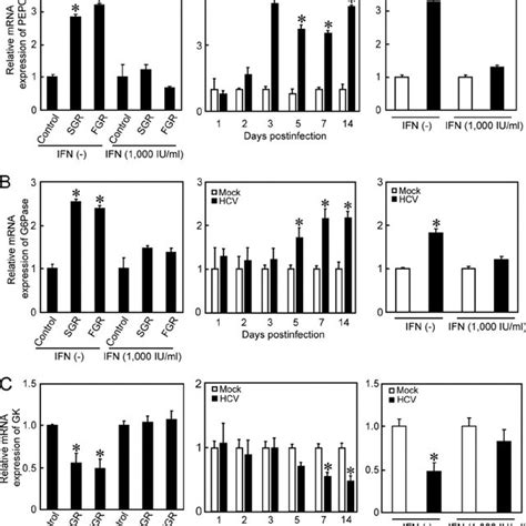 Hcv Upregulates Gene Expressions Of Pepck And G6pase And Downregulates Download Scientific