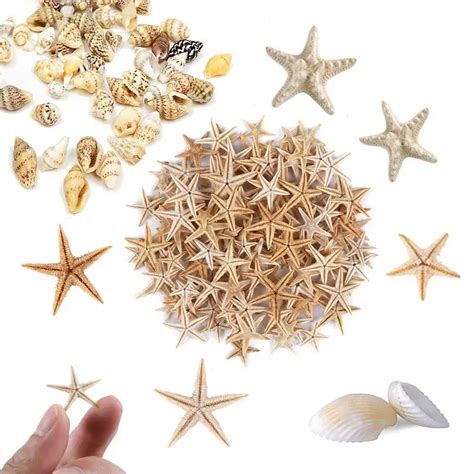 1 100Pcs 1 5Cm Natuurlijke Zeester Seashell Beach Craft Natuurlijke Zee