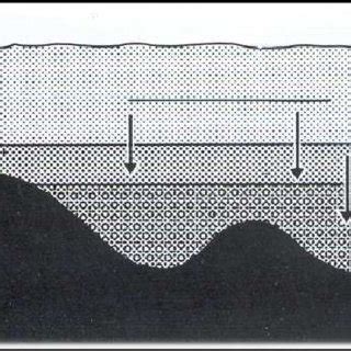 Interpretaci N Sedimentol Gica De La Pedra D Alcover De Via 1987