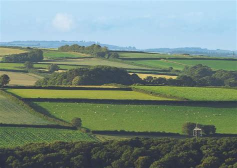 Savills Spotlight The Farmland Market 2024