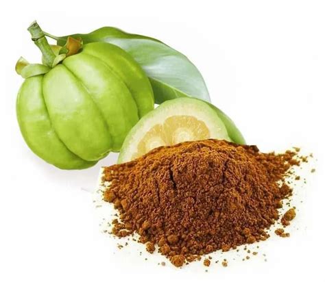 Garcinia Cambogia Powder 1 Kg At Rs 790 Kg In Valsad ID 2852289178133