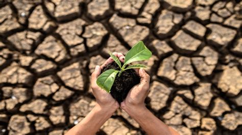 Biboca Ambiental O Que Impacto Ambiental Descubra A Emo O Das