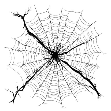 Cobweb Silhouette For Halloween Decoration Gossamer Trap Cobweb