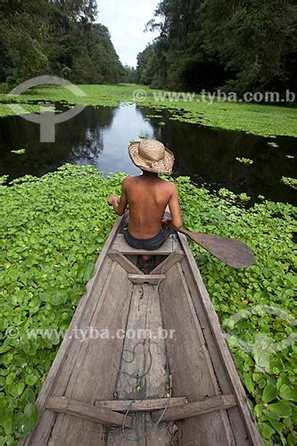 Tyba Online Assunto Menino Em Canoa Na Reserva De Desenvolvimento