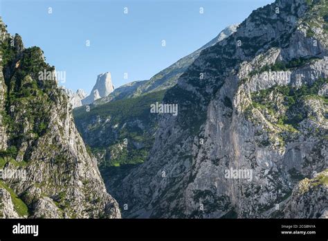 Naranjo de Bulnes conocido como Picu Urriellu de la aldea Camarmeña