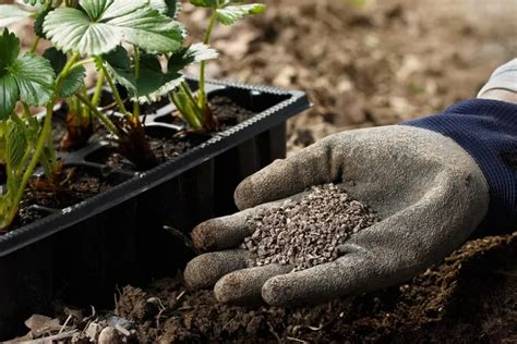 Engrais naturel fait maison quelles méthodes efficaces pour