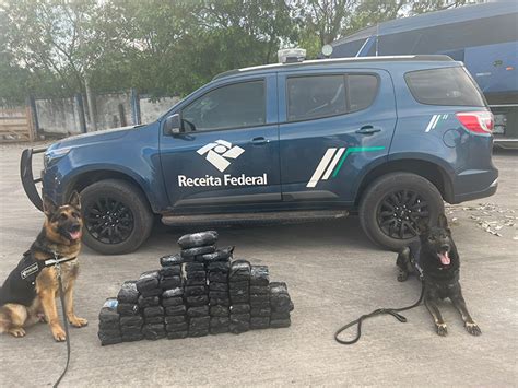 VÍdeo Com Caminhão Scanner E Cães Farejadores Da Receita Federal