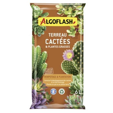 Terreau cactées cactus plantes grasses 6L ALGOFLASH