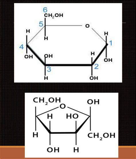 Solved Biochemistry Transform From Haworth To Fischer Chegg