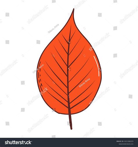 Autumn Leaf Vector Illustration Hand Drawn Stock Vector Royalty Free 2211382215 Shutterstock