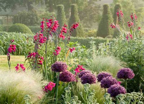 Stunning Companion Plants For Mexican Feather Grass