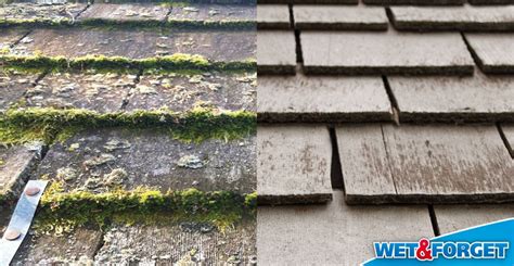 Roof Cleaning 101 The Complete Guide Wet Forget Blog