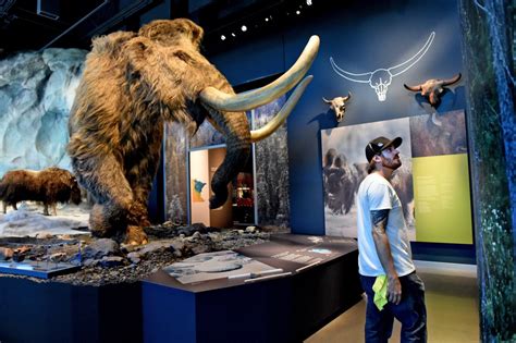 New Bell Museum Opening In Falcon Heights This Weekend Has Planetarium