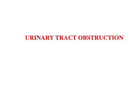 Ppt Urinary Tract Obstruction Powerpoint Presentation Free Download Id 9335440