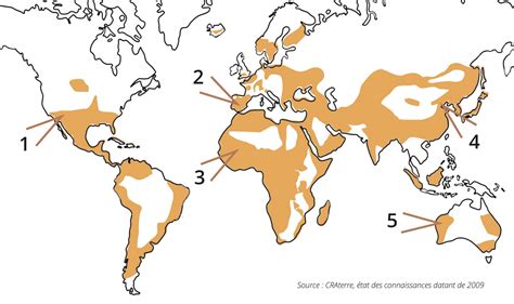 Les Avantages De L Architecture En Terre Crue Terre Crue