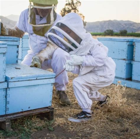 True Gold Honey Discovery Flight Award Winning Pure Raw