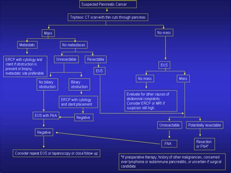 Pancreatic Cancer Pancreatic Ductal Adenocarcinoma Cta