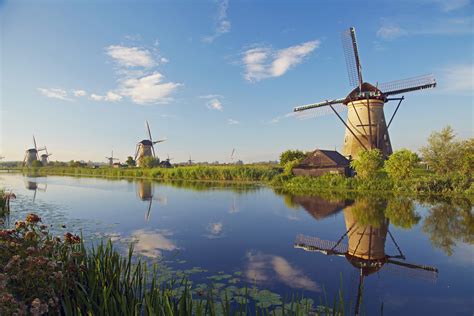 Essential Info for the Netherlands