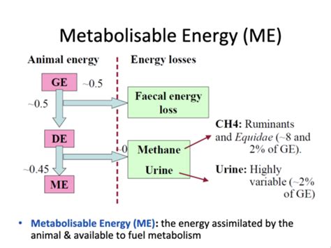 ENERGY Flashcards Quizlet