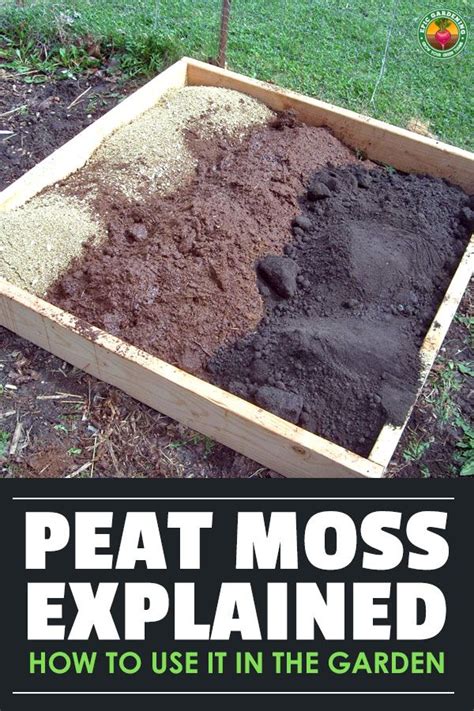 Peat Moss Using Sphagnum Peat In The Garden Garden Soil Moss Garden