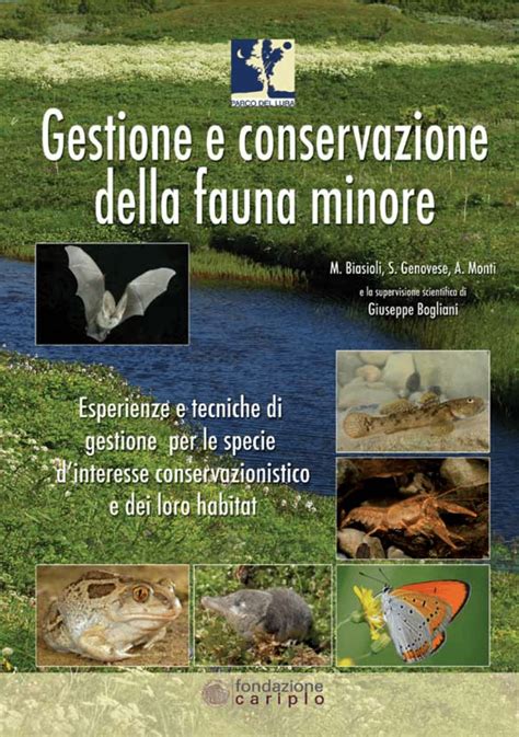 PDF Gestione E Conservazione Della Fauna Minore Esperienze E