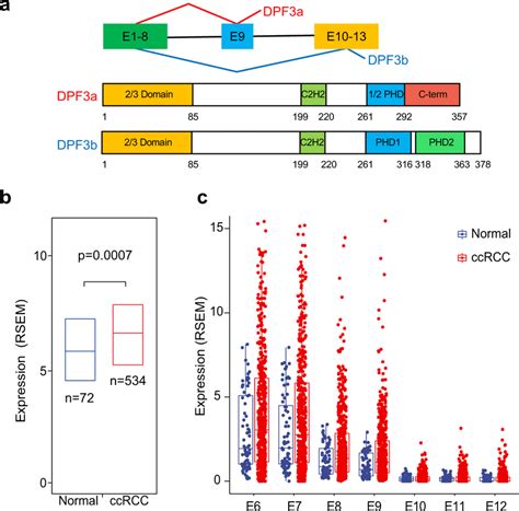 Upregulated Expression Of Dpf3 In Ccrcc A Schematic Representation Of