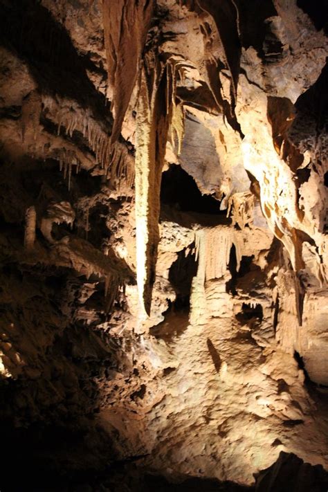 FORBIDDEN CAVERNS - 98 Photos & 67 Reviews - Tours - 455 Blowing Cave Rd, Sevierville, TN ...