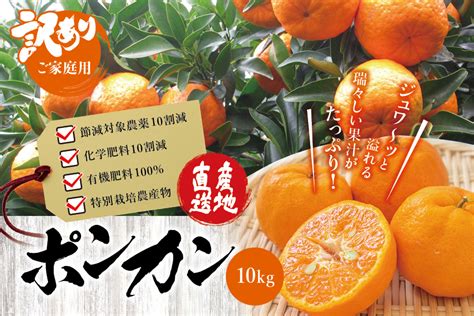 【訳あり】くしもとポンカン 10kg S･mサイズ混合 ご家庭用 先行予約【12月下旬～1月下旬発送予定】（お届け日指定不可）｜ふるラボ