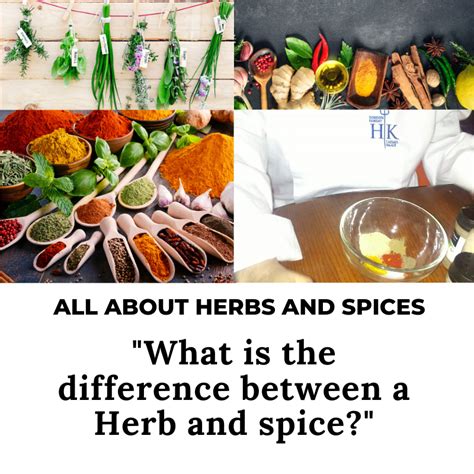 Whats The Difference Between A Herb And Spice Cathys Crazy Kitchen