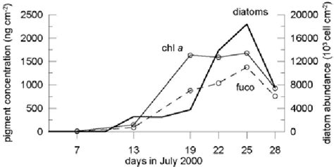 Figure From Abundance And Colonization Of Attached Diatoms In The