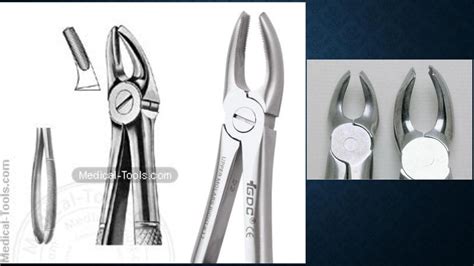 Upper Extraction Forceps Explained In Detail 41 Off