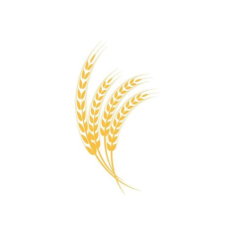 Agriculture wheat vector 17746507 Vector Art at Vecteezy