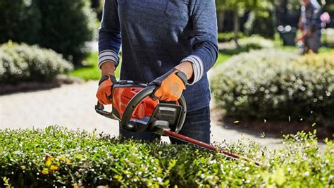 Best Hedge Trimmers Summer Reviews Buying Guide