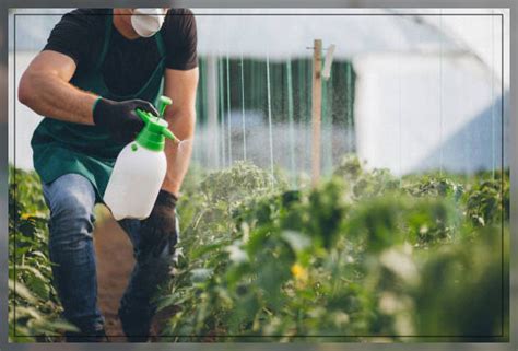 Herbicides For Gardens Al Ardh Alkhadra